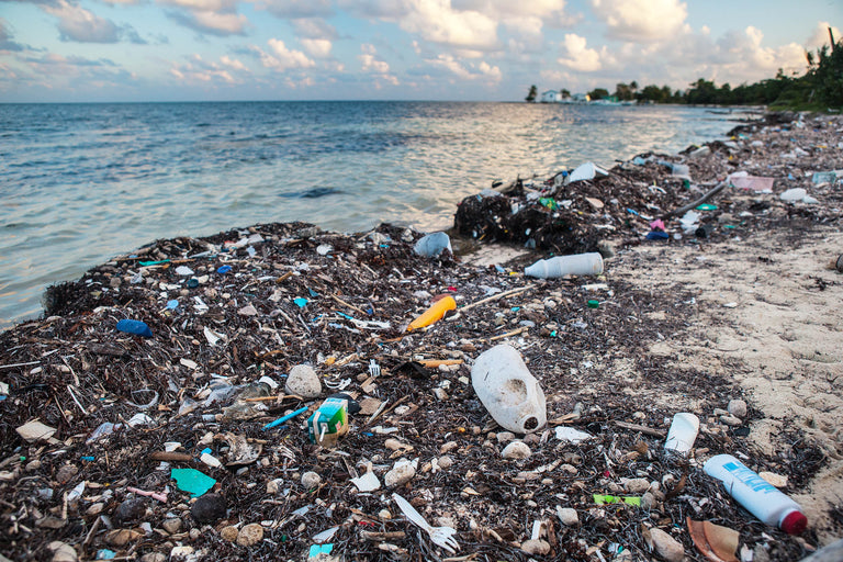 remove-single-use-plastic