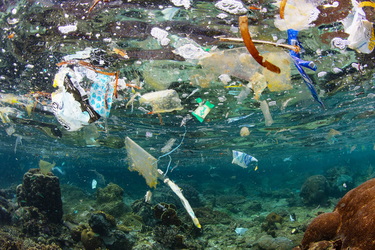 remove-single-use-plastic
